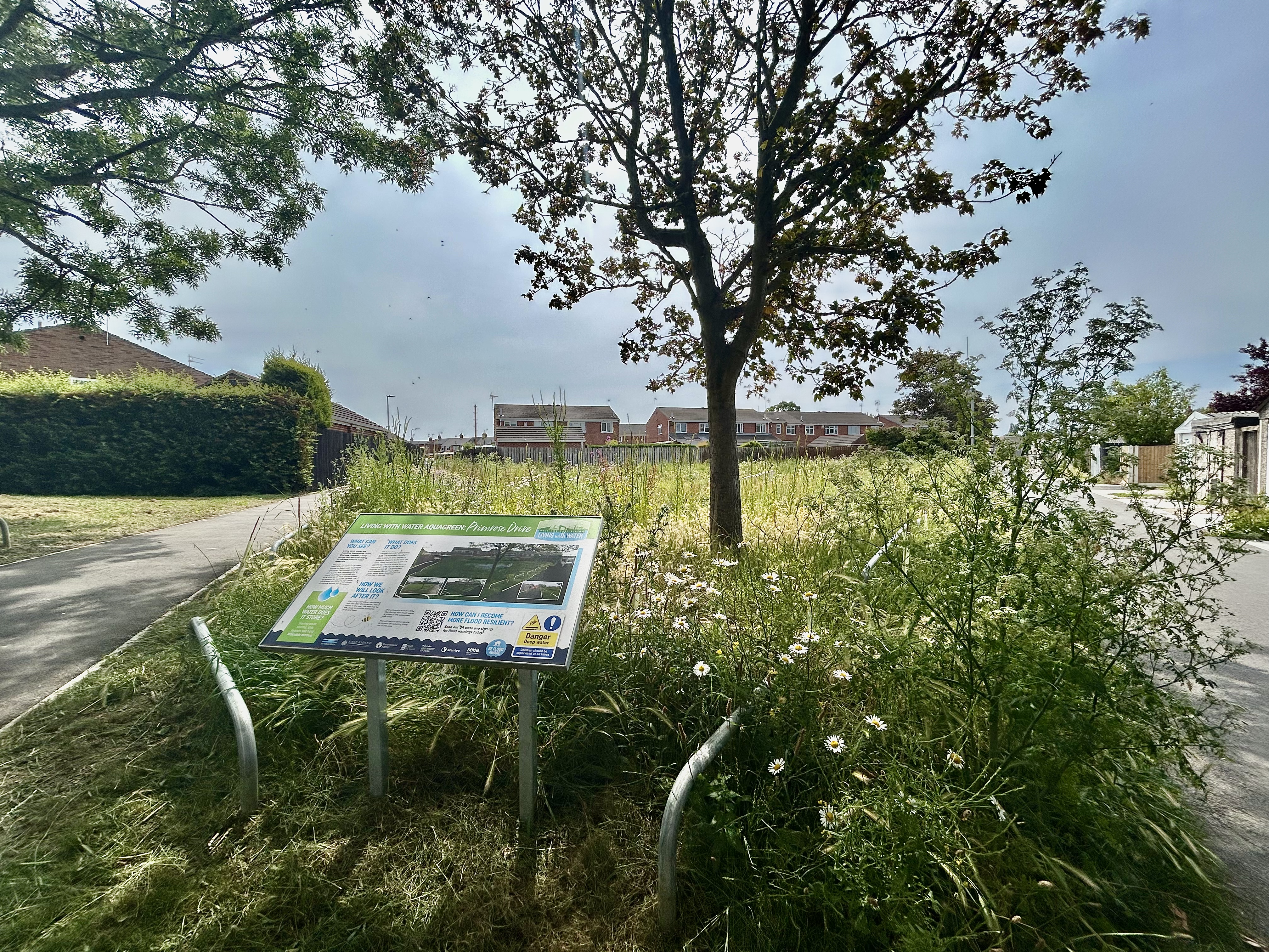 board with pictures in foreground with trees and aquagreen in the distance