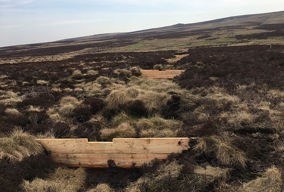 Peat restoration