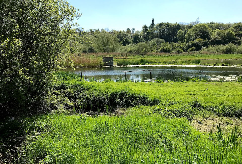 Rodley nature reserve