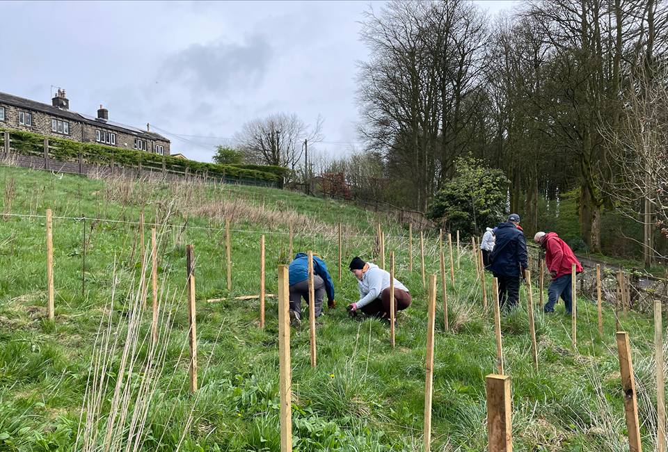 Volunteers planting trees at Ryburn reservoir