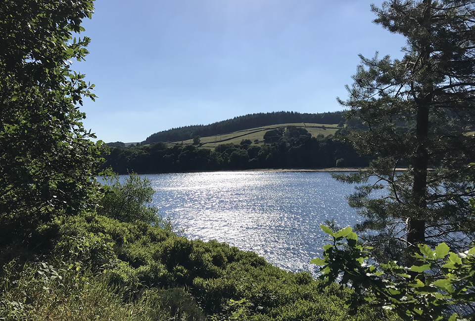 Dale Dike Reservoir