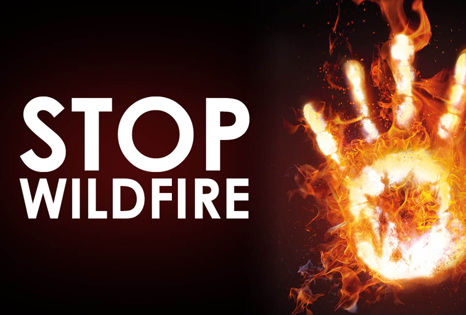 Reduce the risk of wildfires