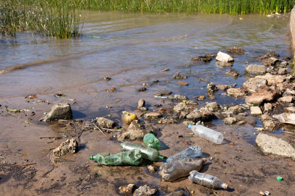 Polluted river. Credit: Freepik 