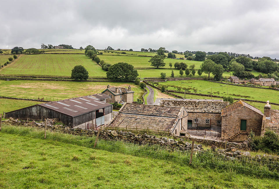 Scow Hall Farm