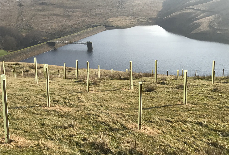 Tree planting at Yorkshire Water reservoir