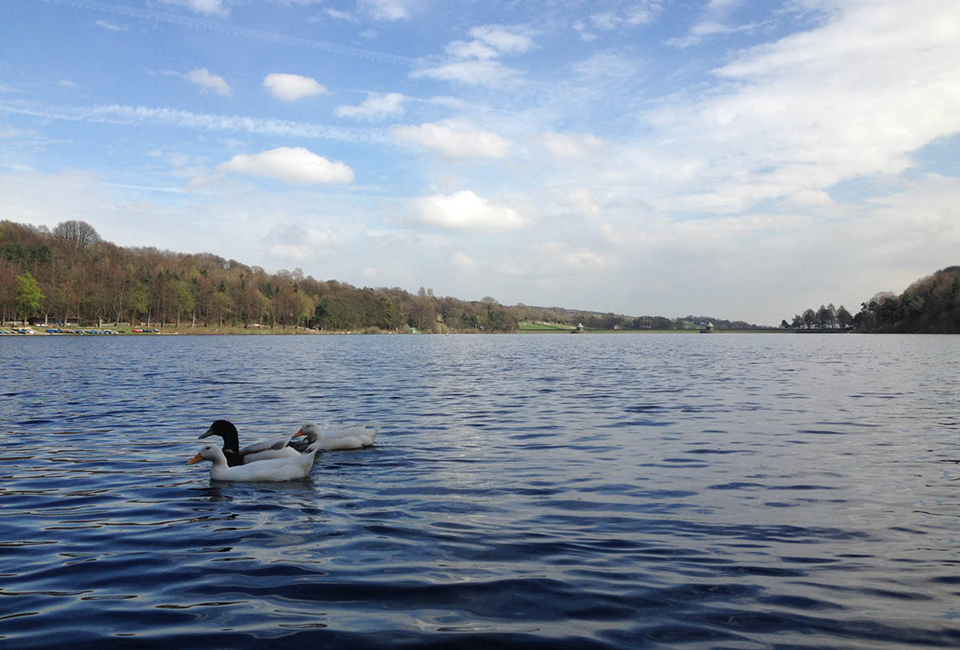 Damflask Reservoir 