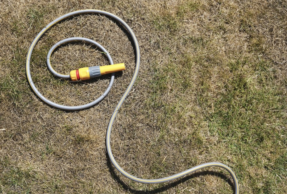Hosepipe