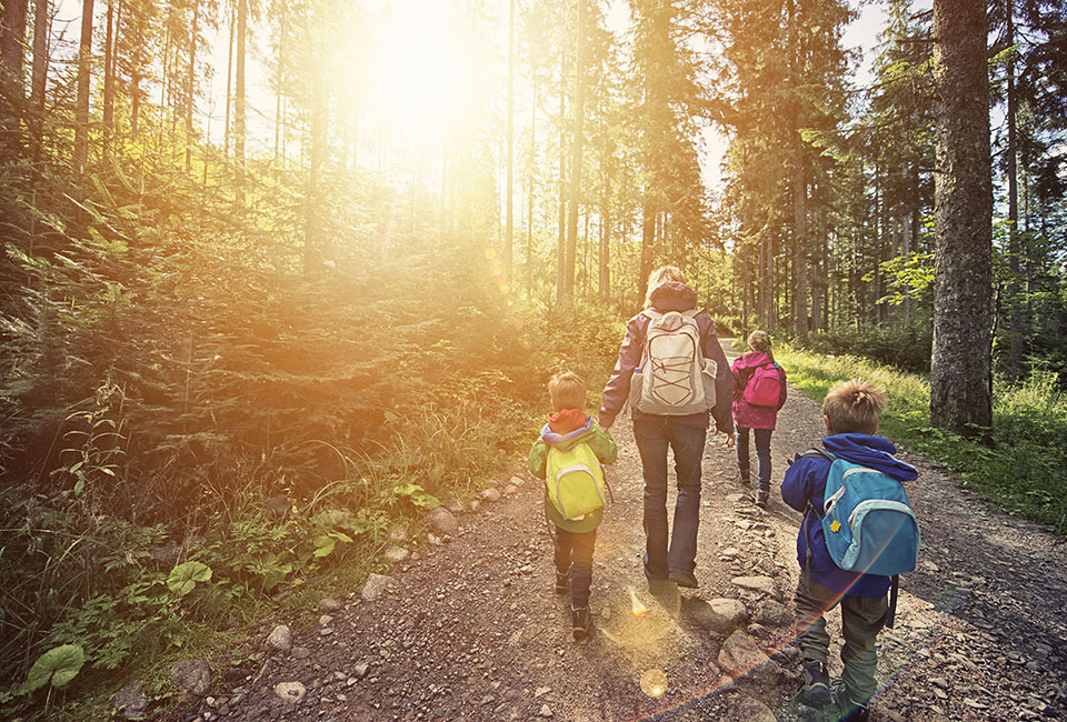 Family walking through a woods