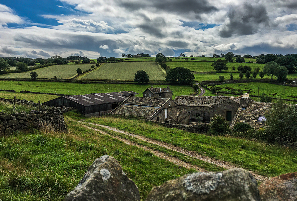 Scow Hall Farm