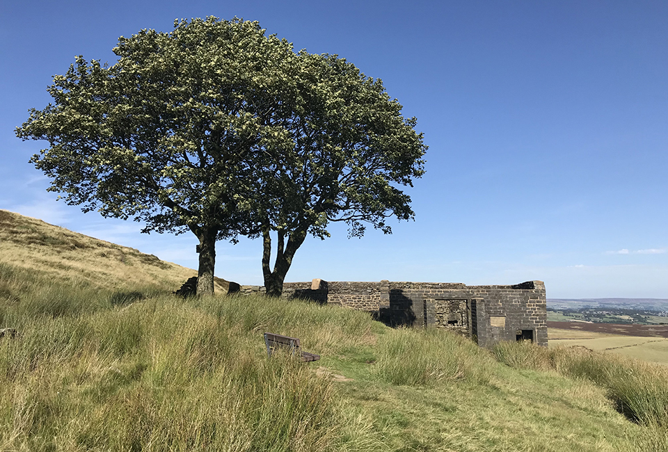 Haworth Moor