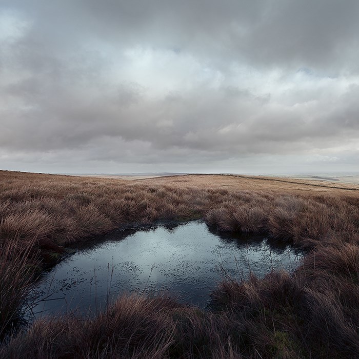 Humberstone Bank Farm 