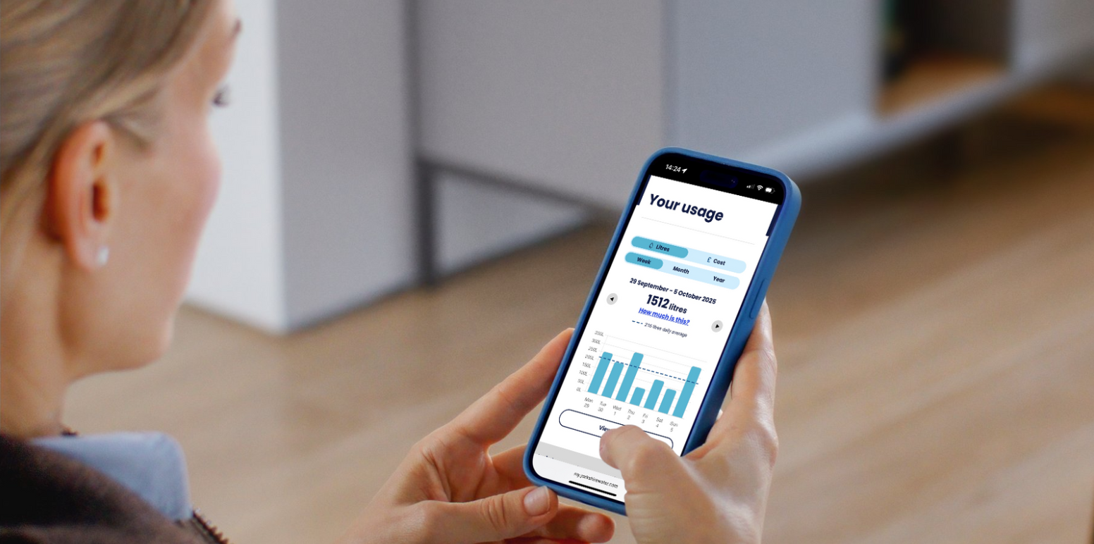 Woman checking her water usage in the online account