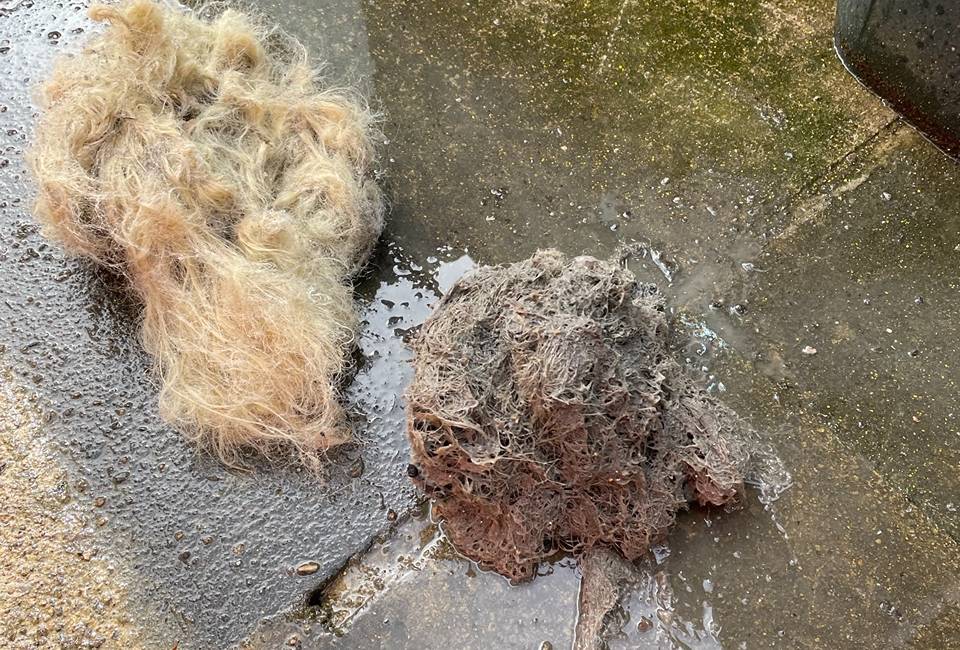 A blond and brown wig recovered from a sewer in Allerton, Bradford