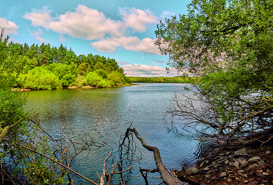 Reservoir 