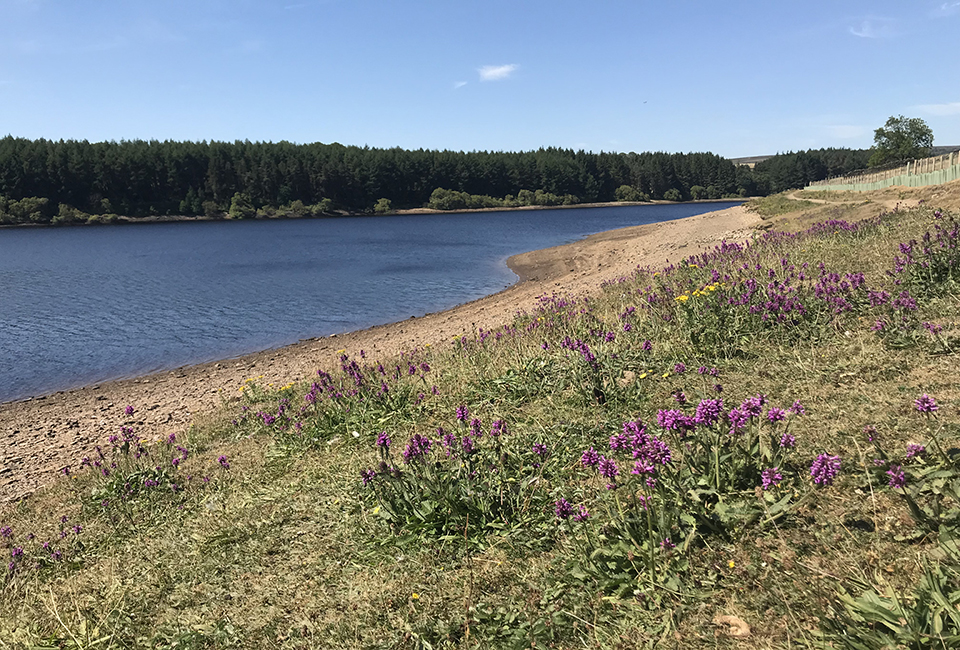 View across Thruscross reservoir