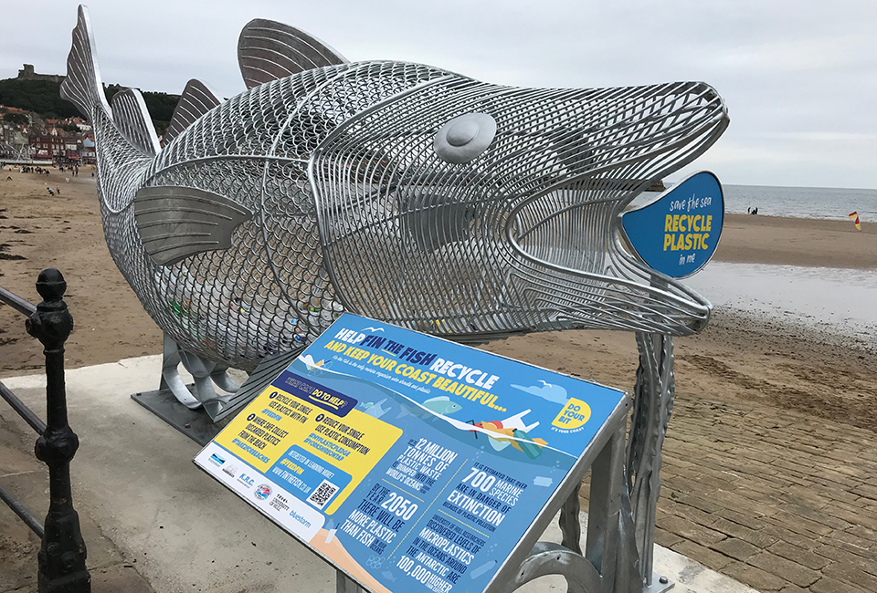 Fin the fish