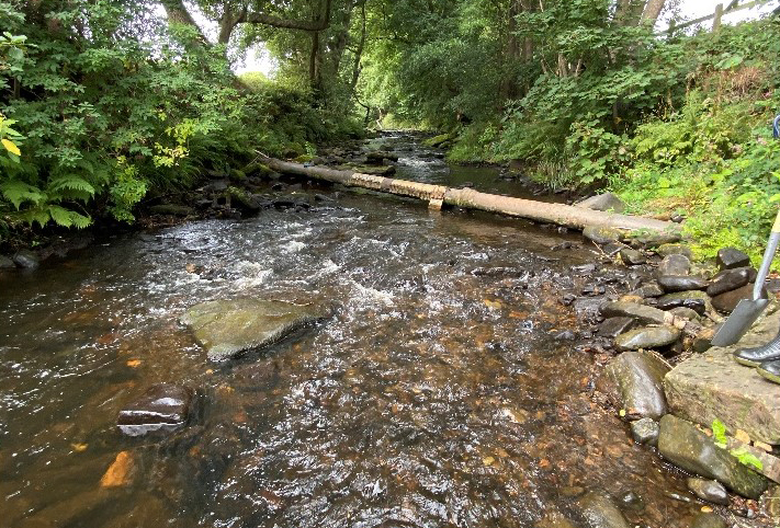 Schole Hill fish pass