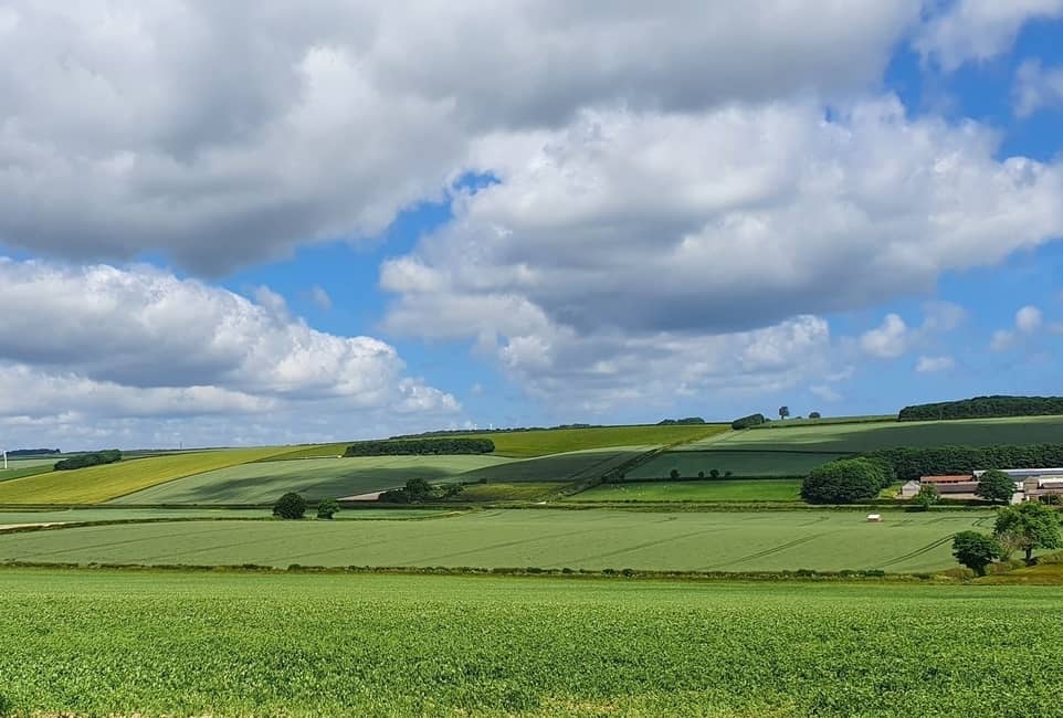 An image of rolling fields at Kilham