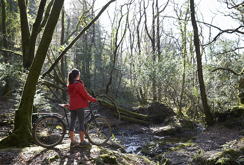 Lady and Bike in the Woods