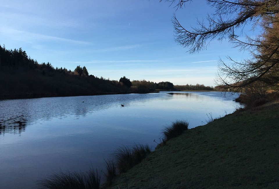 Codbeck reservoir at dusk