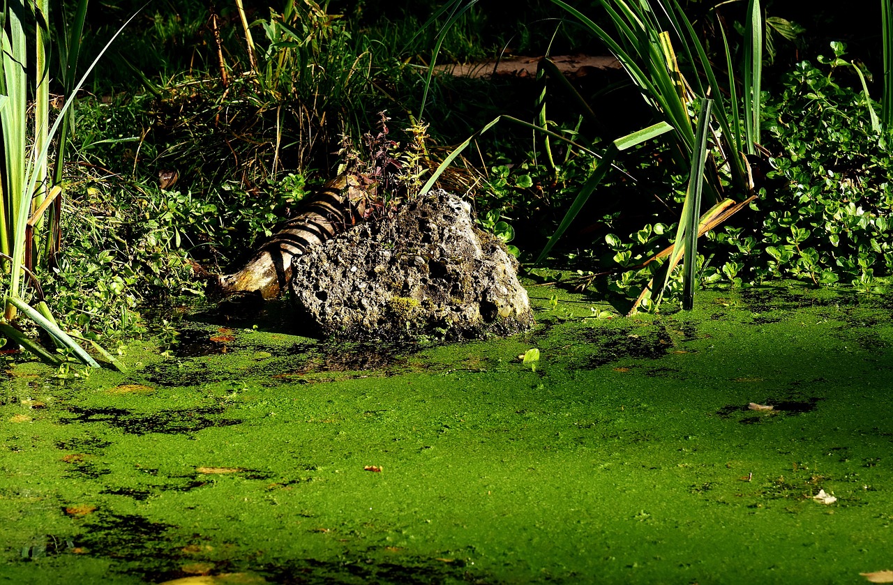 Mum bathing little girl
