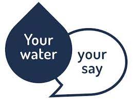 Your water logo