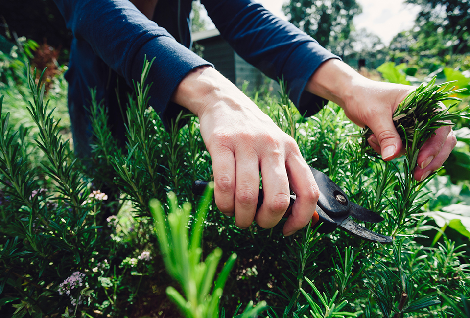 Gardening