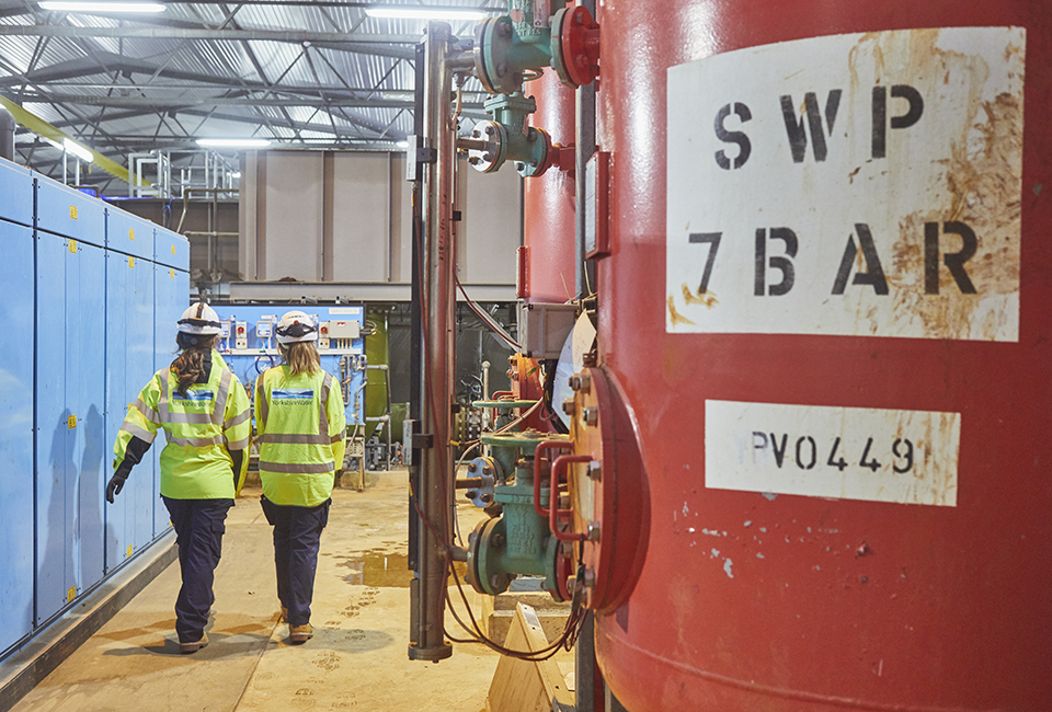 Collogues inside our Sladen site