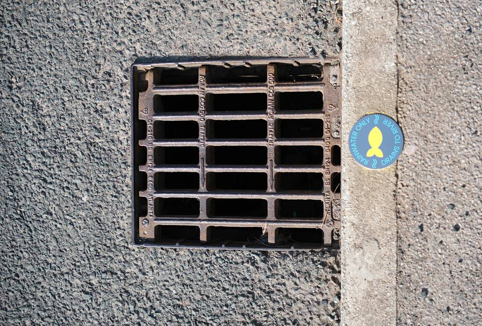 Yellow Fish symbol in situ