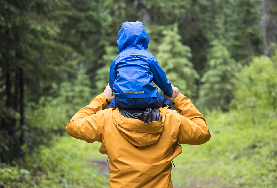 Child on adult's shoulders walking through woods