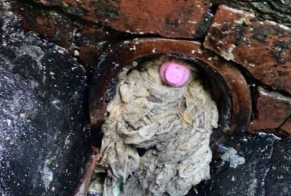 A Peppa Pig figurine stuck in a sewer alongside a mass of wet wipes