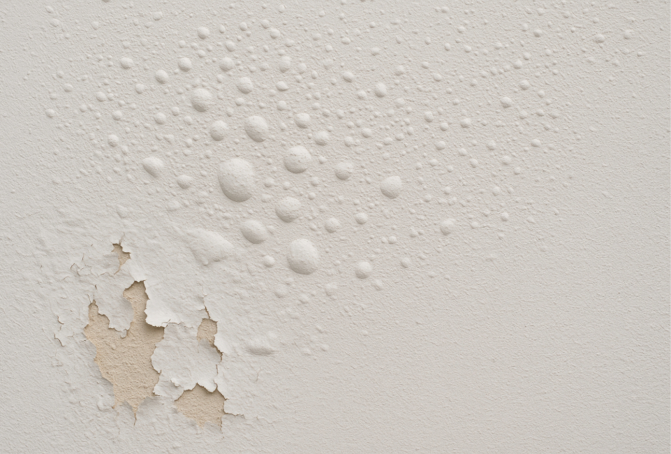 Peeling paint