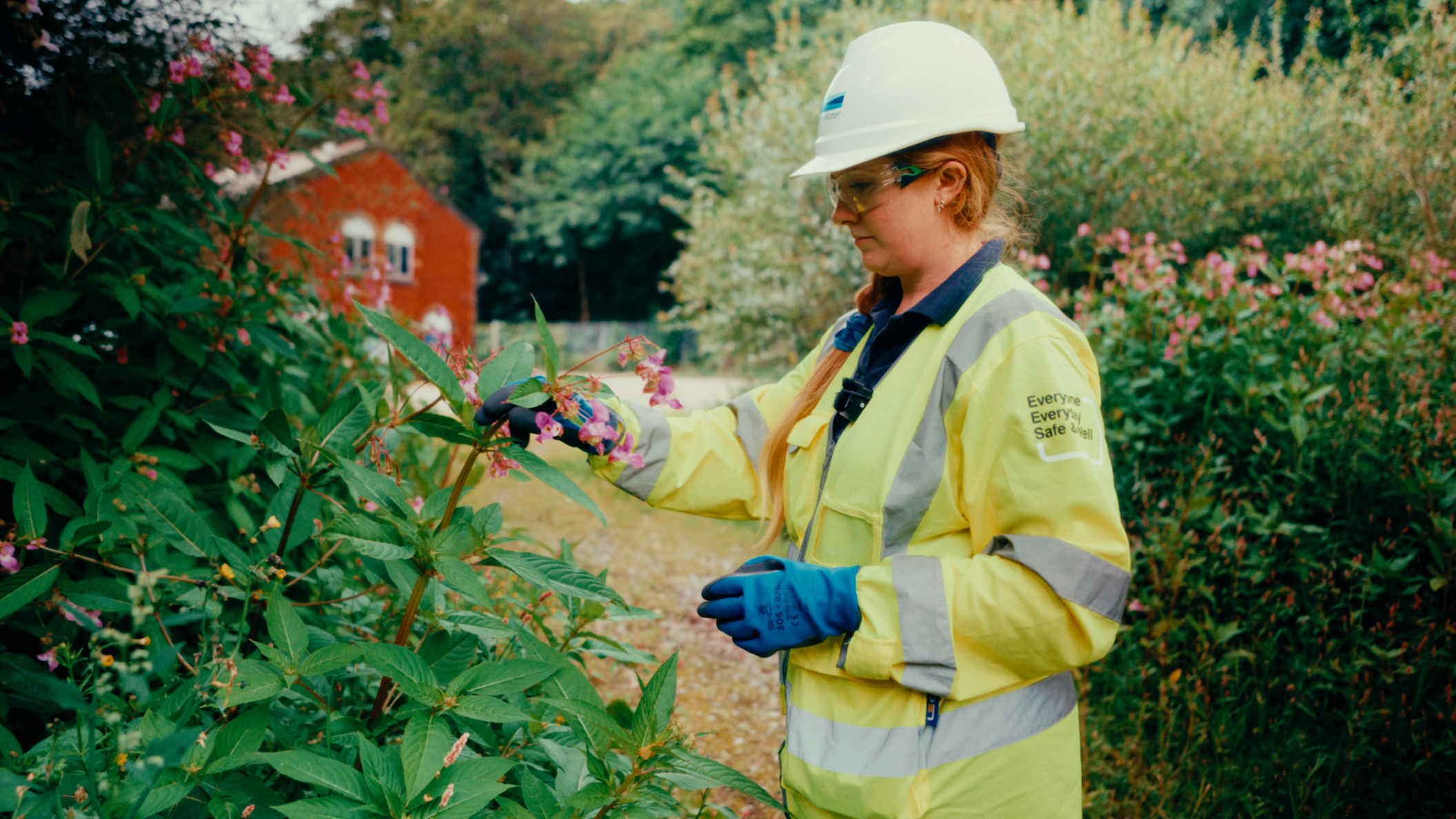 Woman in high vis and hard hat looks at green leaves outdoors