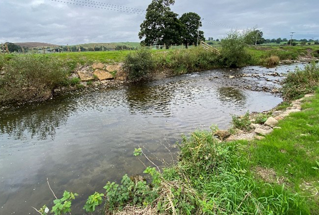 Banks of the river Aire