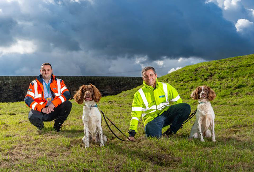 Leak detection dogs