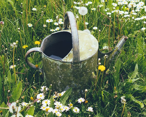 Watering can