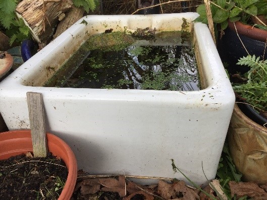 Mini nature reserve